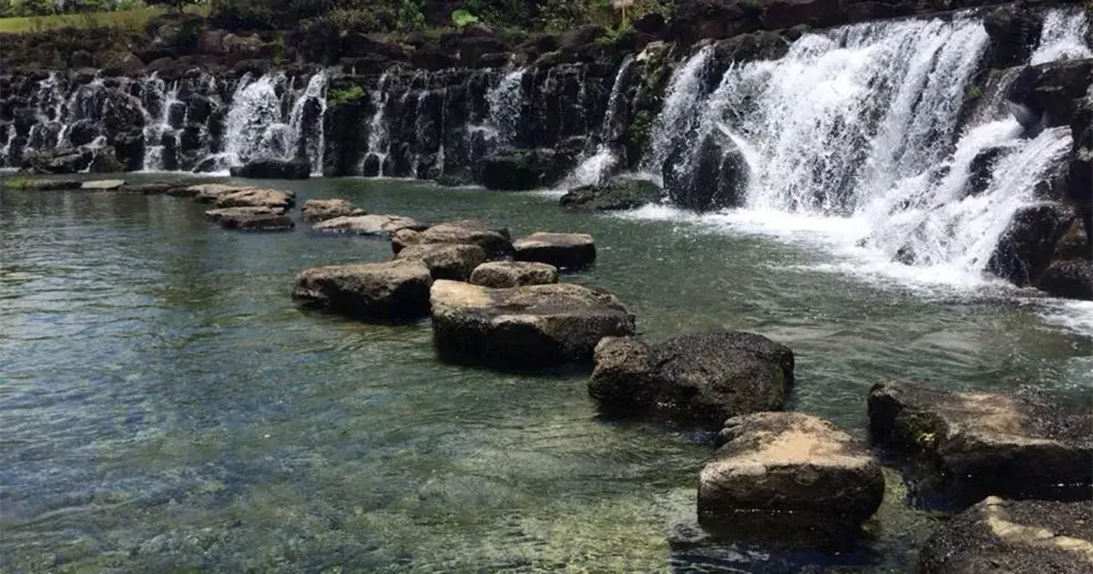 Công viên Suối Mơ - Điểm đến lý tưởng cho gia đình và bạn bè