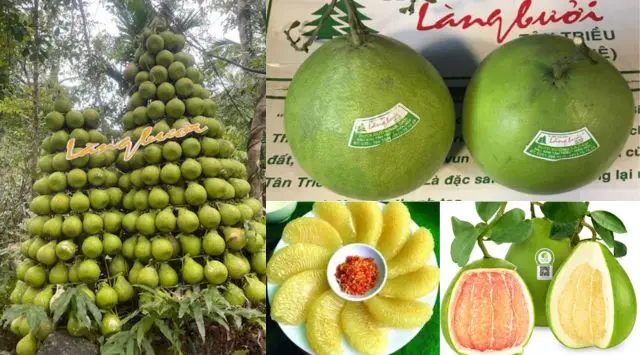 Món đặc sản bưởi Tân Triều