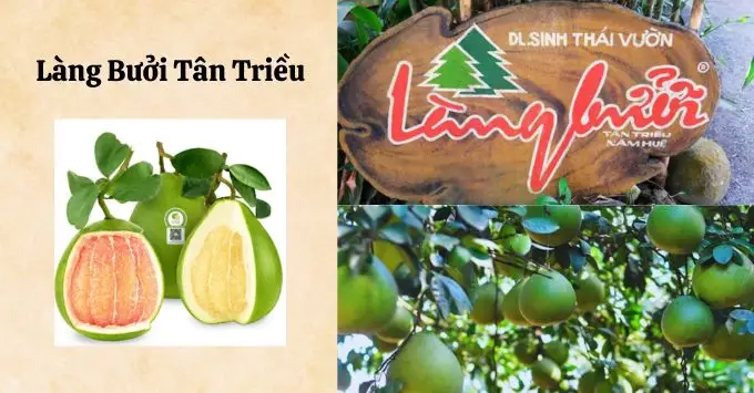 Làng bưởi Tân Triều: Điểm du lịch sinh thái thú vị tại Đồng Nai