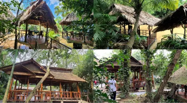 Trải nghiệm thú vị gì ở làng bưởi Tân Triều