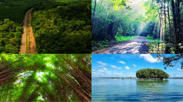 Thời điểm nên đi tham quan Rừng Mã Đà