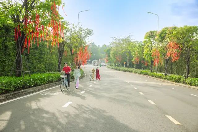 Hội hoa xuân Long Thành