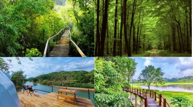 Rừng Nam Cát Tiên Đồng Nai