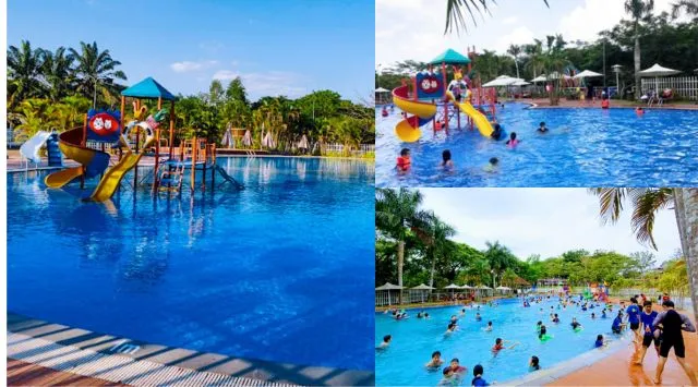 Tắm hồ bơi Mimosa