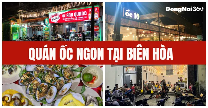 Lưu ngay Top 5 quán ốc ngon tại Biên Hòa đáng để bạn ghé thử