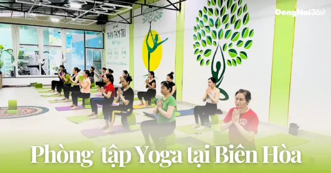 Bật mí 5 phòng tập yoga tại Biên Hòa được yêu thích năm 2025