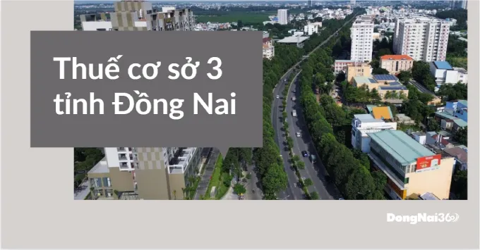 Địa chỉ, Số điện thoại Thuế cơ sở 3 tỉnh Đồng Nai 2025