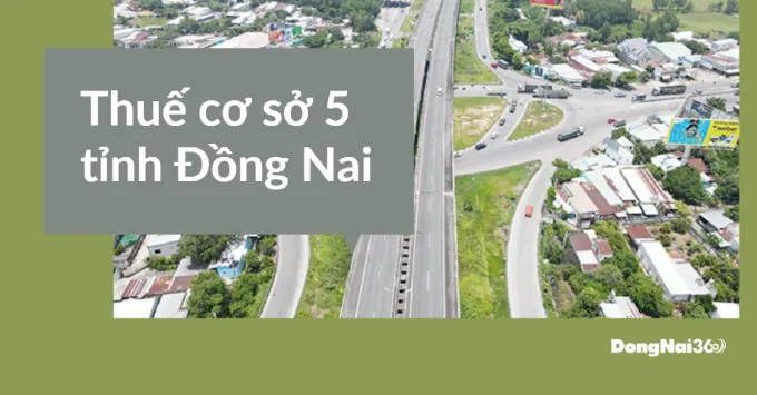 Địa chỉ, Số điện thoại Thuế cơ sở 5 tỉnh Đồng Nai 2025